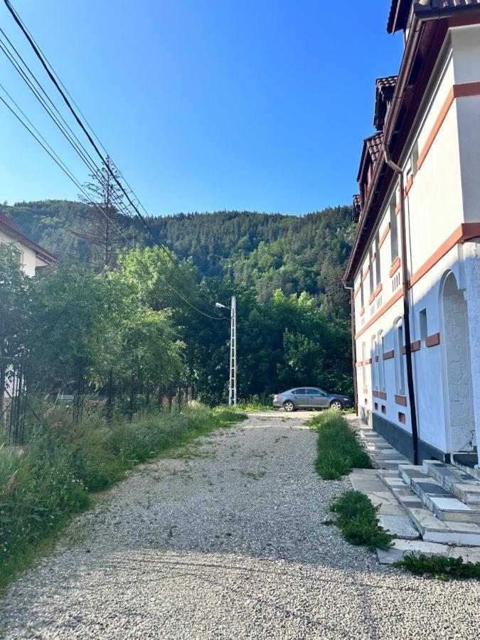 White Castle - Bran Villa Bran  Dış mekan fotoğraf